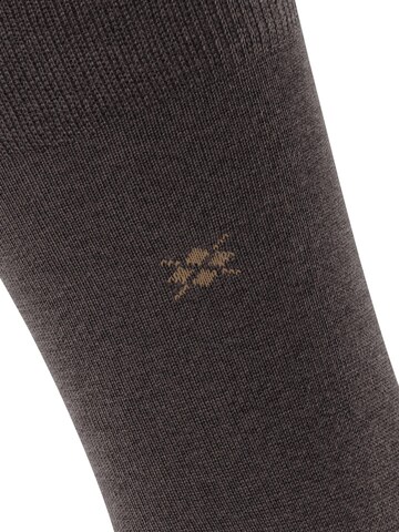 BURLINGTON Socken 'Leeds'‌‌‌‌‌‌ in Braun