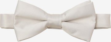 JACK & JONES Bow tie 'JACSOLID' in Grey: front