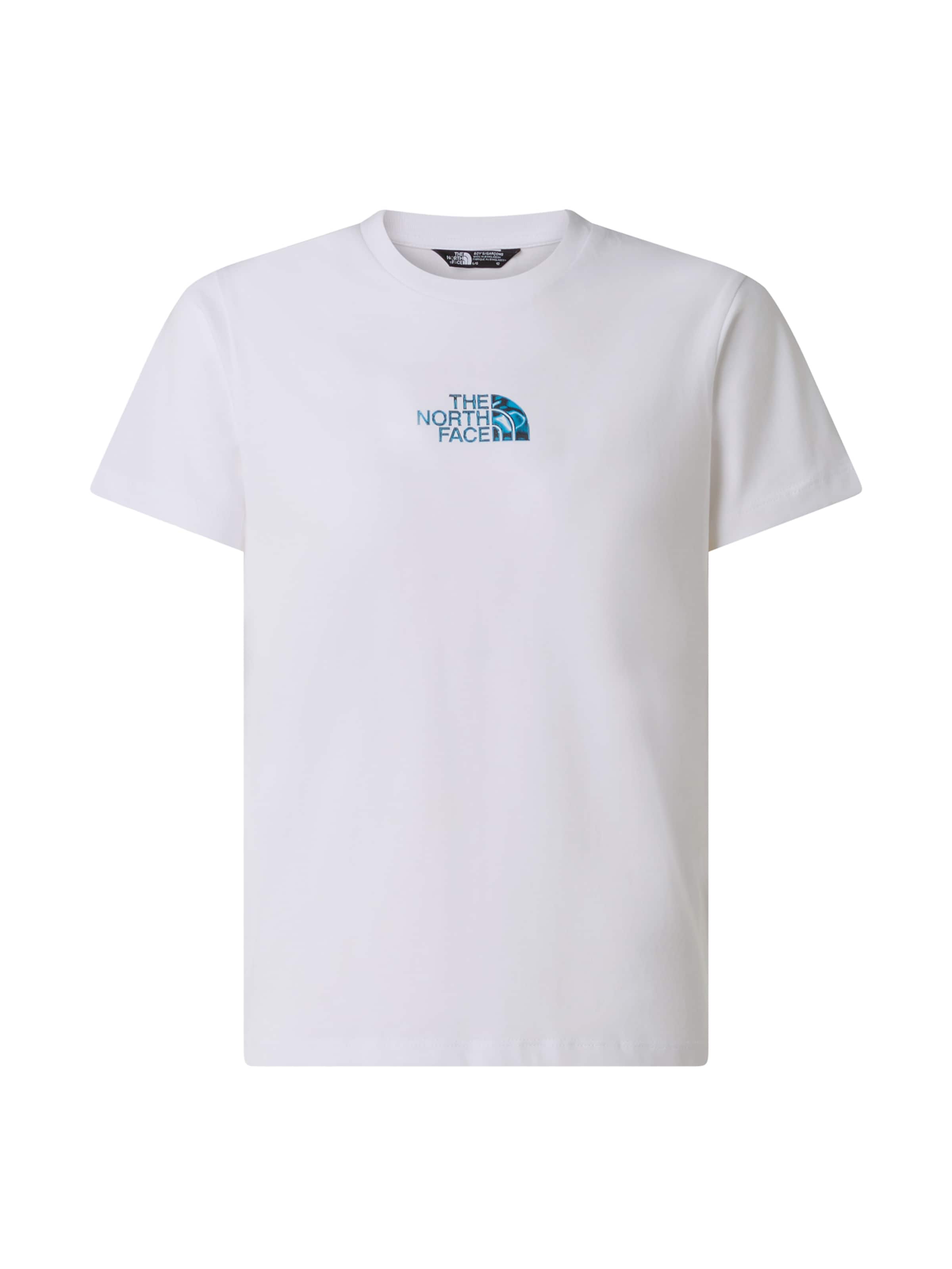 THE NORTH FACE - Camiseta en blanco: frente