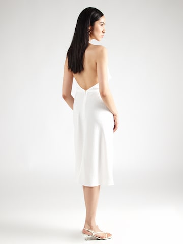 Elisabetta Franchi Dress in White