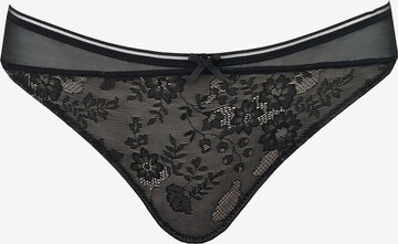 SugarShape String ' True Lace ' in Zwart: voorkant