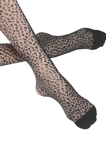 FALKE Tights 'Shell Fragments' in Black