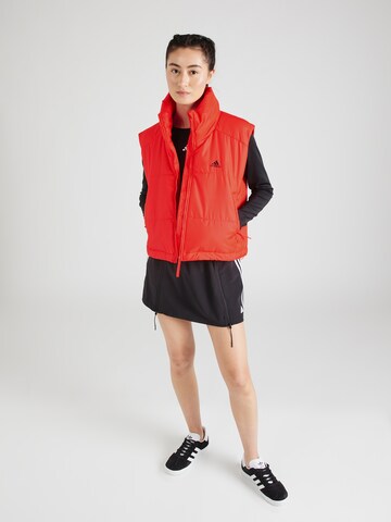 ADIDAS SPORTSWEAR - Chaleco deportivo '3-Stripes Insulated' en rojo