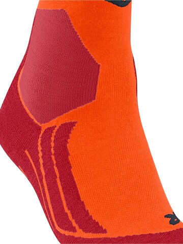 FALKE Athletic Socks 'SK2 Intermediate' in Orange
