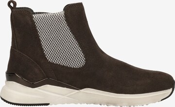 GABOR Chelsea Boots in Brown