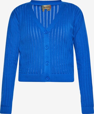 ebeeza Knit Cardigan in Blue: front
