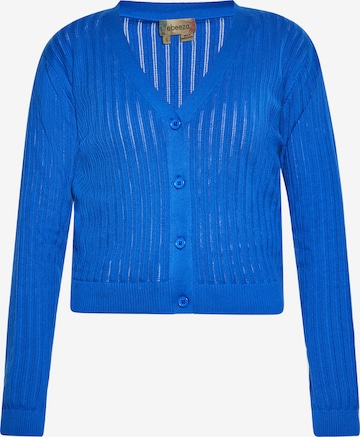 ebeeza Gebreid vest in Blauw: voorkant