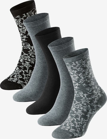 Chaussettes ' Bluebird ' SCHIESSER en gris : devant