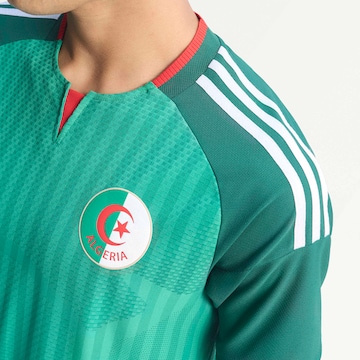 ADIDAS PERFORMANCE Tricot 'Algeria 26 Away Authentic' in Groen