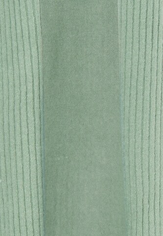 usha WHITE LABEL Gebreid vest in Groen