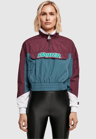 Starter Black Label Демисезонная куртка в Лиловый: спереди