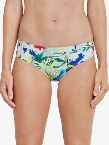 SCHIESSER Bikini Bottoms 'Aqua Mix & Match Nautical' in Mixed colors: front