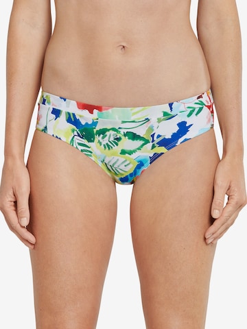 Bas de bikini 'Aqua Mix & Match Nautical' SCHIESSER en mélange de couleurs : devant