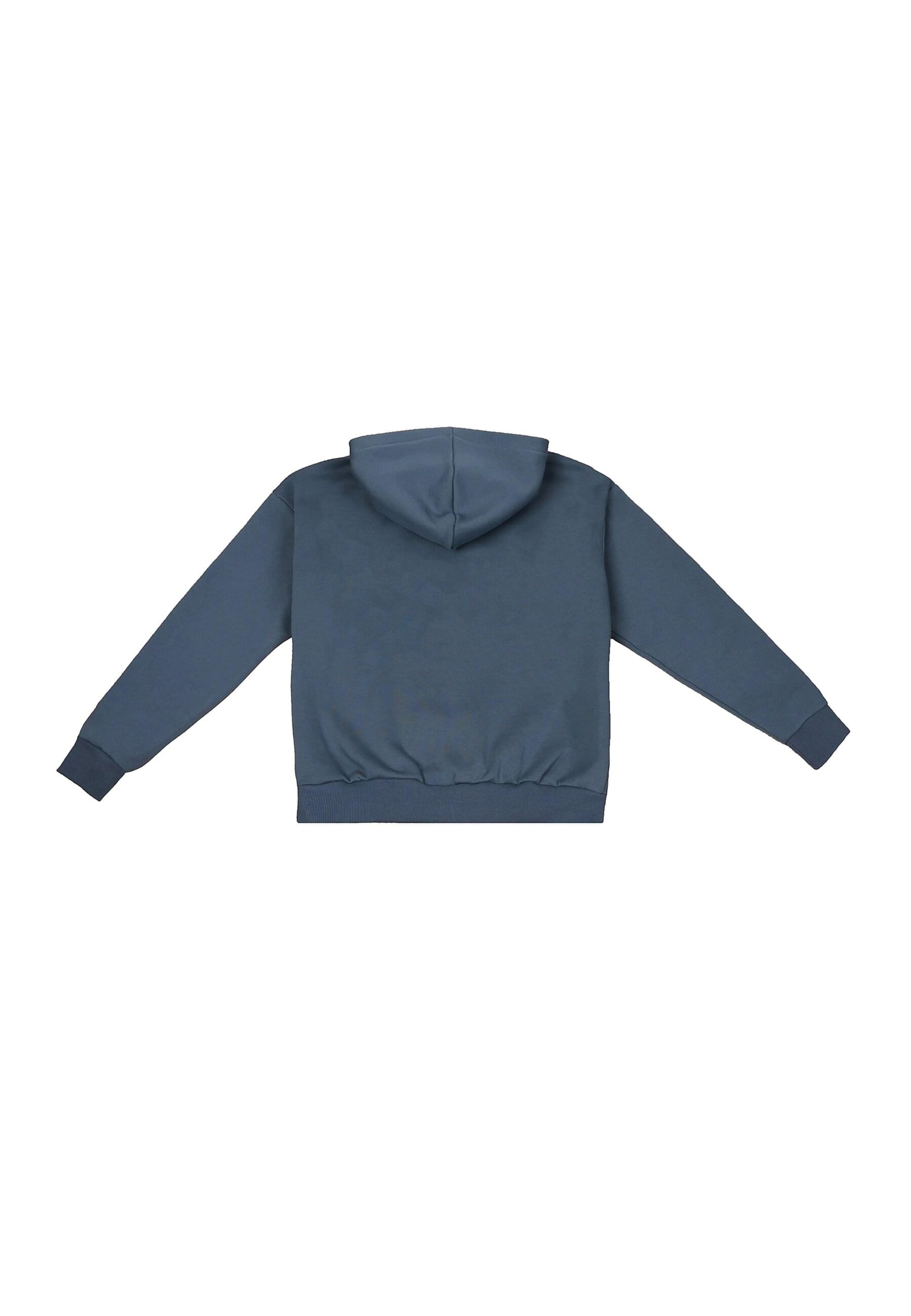 Dropsize Sweatshirt 'Embo' in Grey