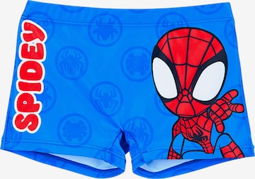 Spider-Man Board Shorts 'Spidey' in Blue: front