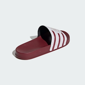 ADIDAS PERFORMANCE Strand-/badschoen in Rood