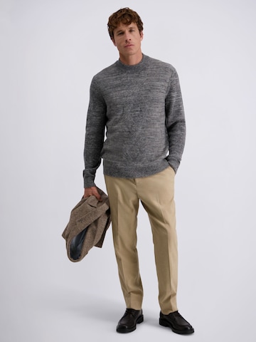 PIERRE CARDIN Trui in Grijs