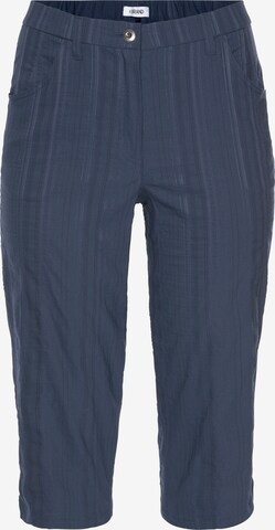 KjBRAND Regular Pants in Blue: front