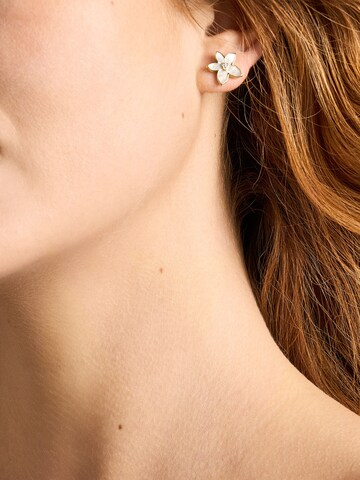 FOSSIL - Pendientes en oro: frente
