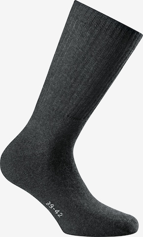 Rohner Socks Socks in Grey