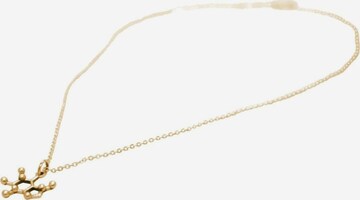 Gemshine Ketting in Goud