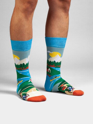 DillySocks Socken in Mischfarben: Vorderseite
