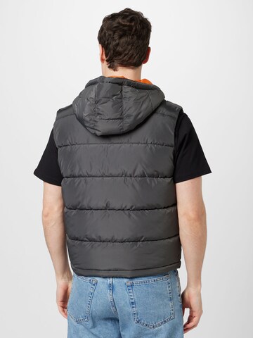 Gilet di ALPHA INDUSTRIES in grigio