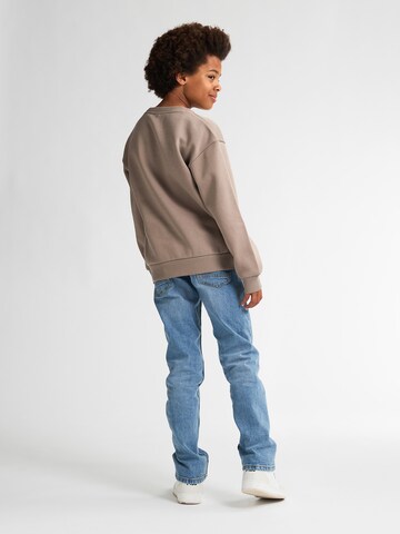 Petrol Industries Sweatshirt 'Adirondack' in Bruin
