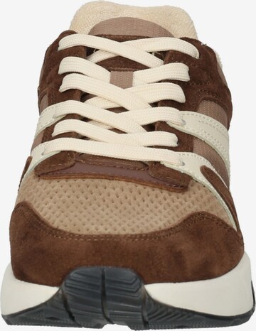 GANT Sneakers in Brown