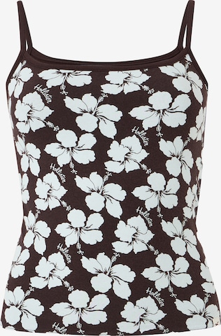 HOLLISTER Top in Braun: Vorderseite