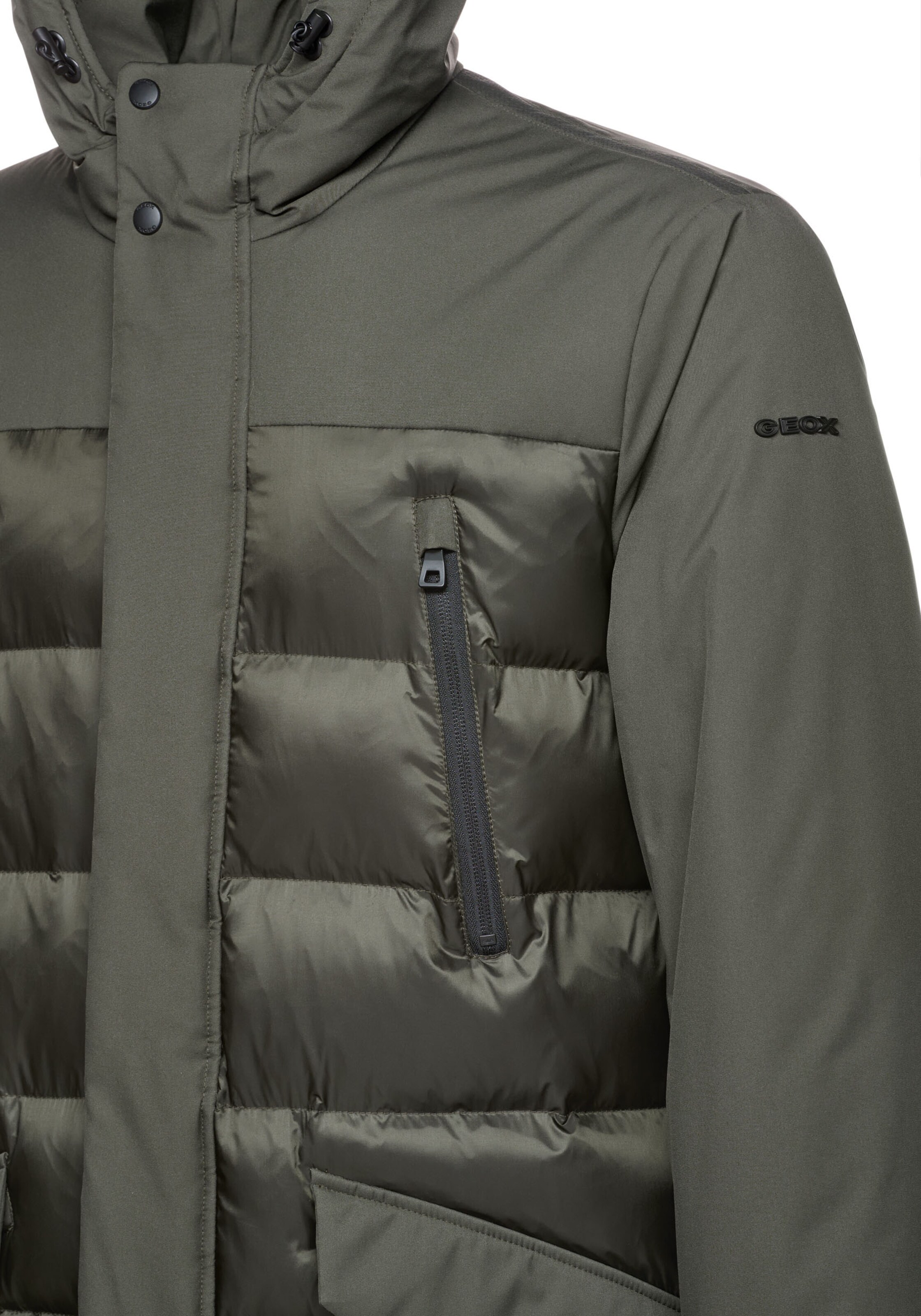 GEOX Wintermantel in Grün