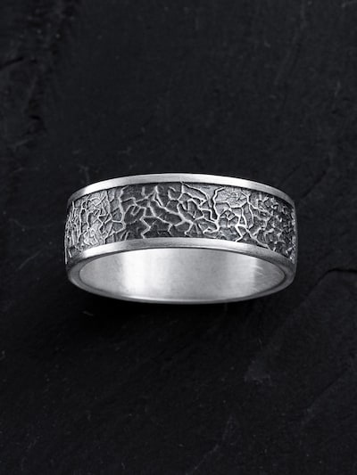 REYTEL Ring 'ASTEROID' in Silver, Item view