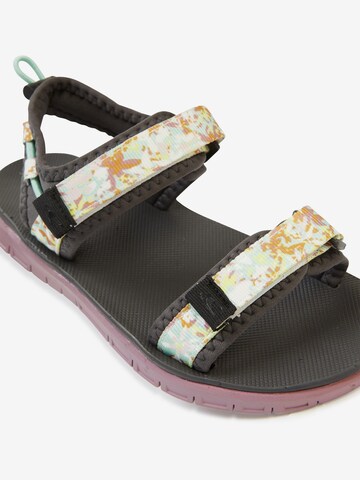 O'NEILL Hiking Sandals 'Mia' in Grey