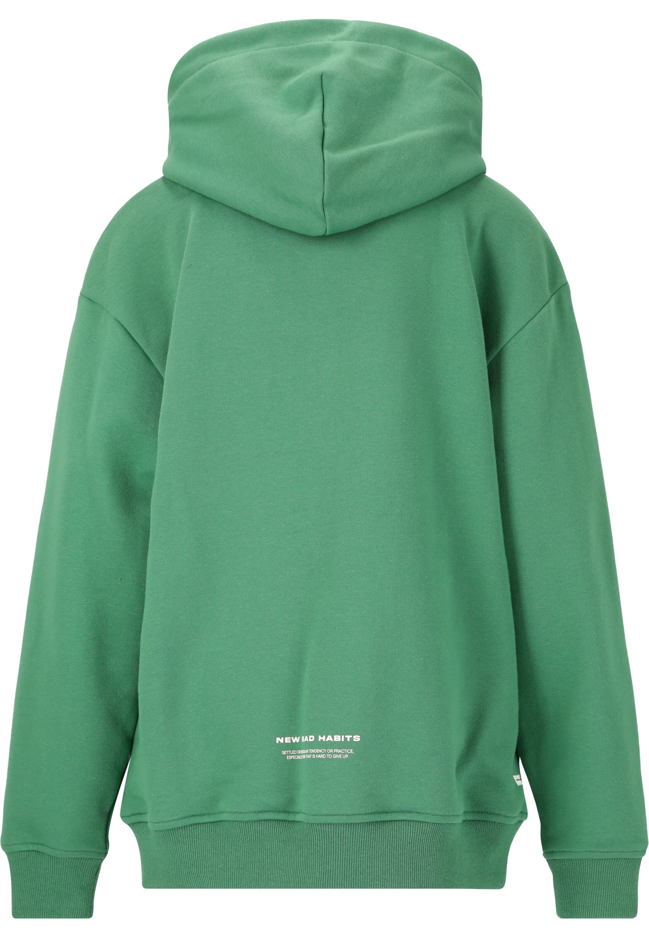 Les'Arcs Sweatshirt 'Roibin' in Green
