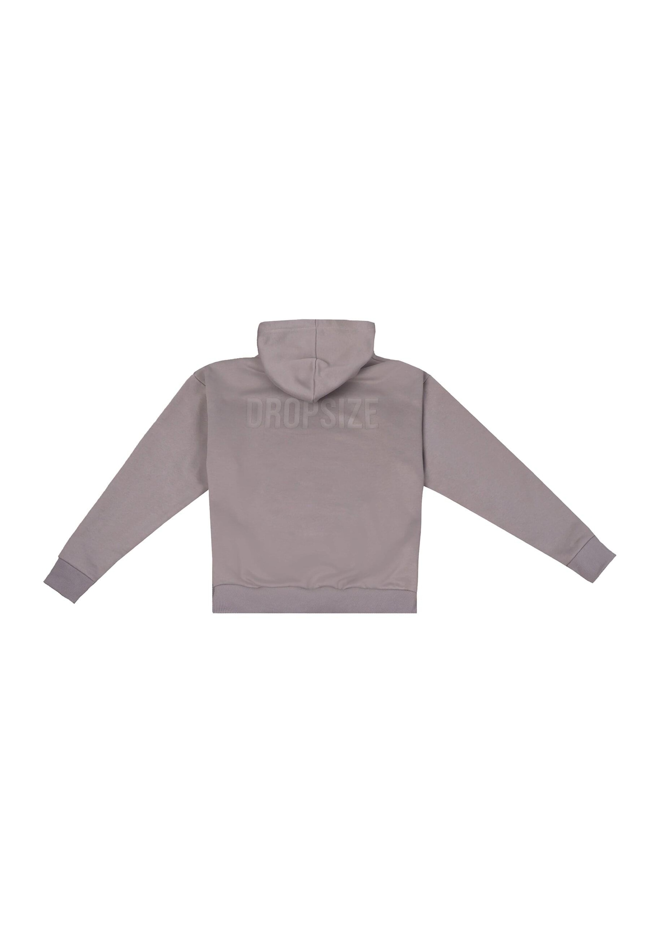 Dropsize Sweatshirt in Grey