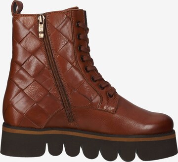 ARA Lace-Up Ankle Boots in Brown