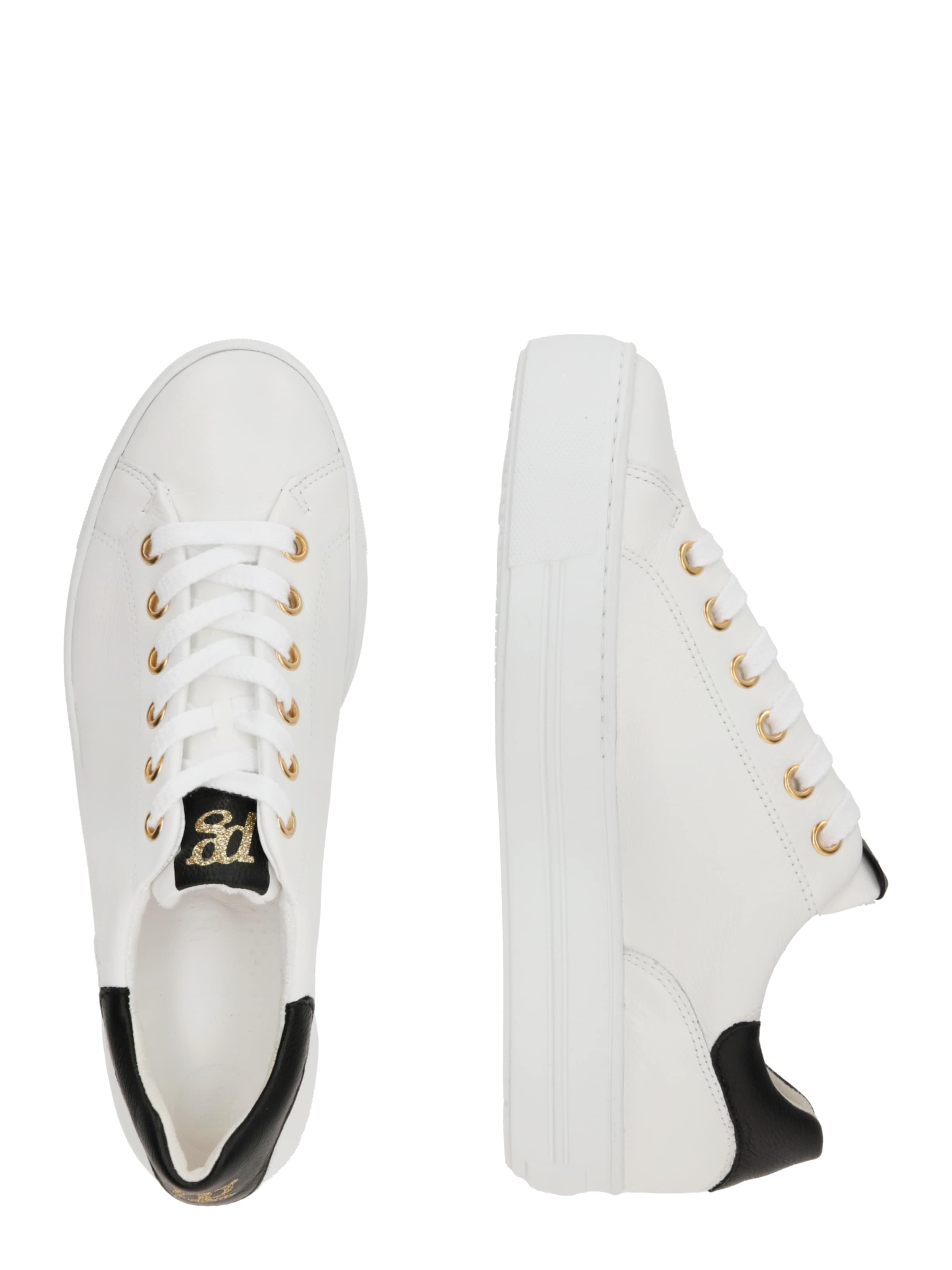 Paul Green Σνίκερ χαμηλό σε λευκό