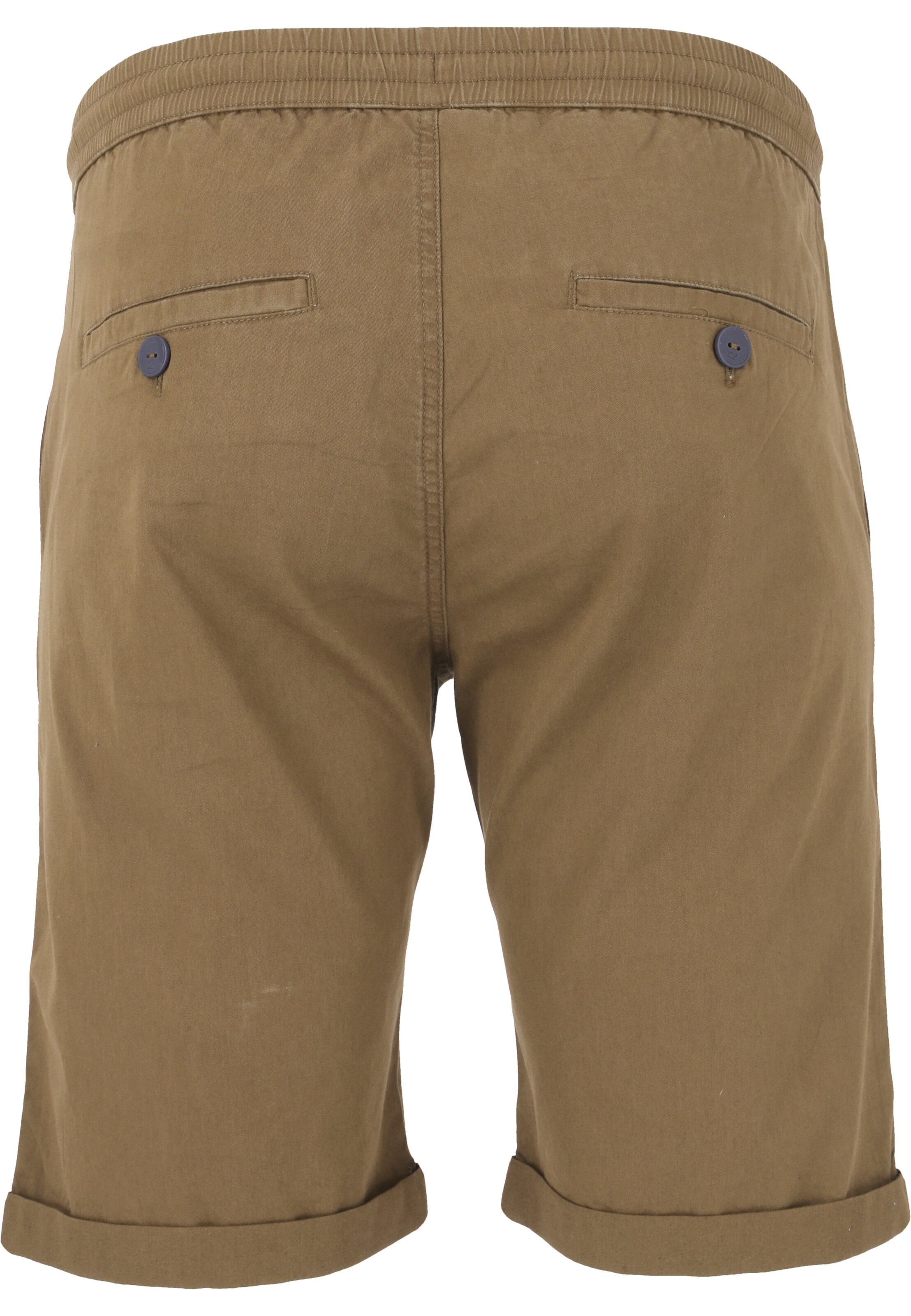 Cruz Regular Shorts 'Gilchrest' in Grün