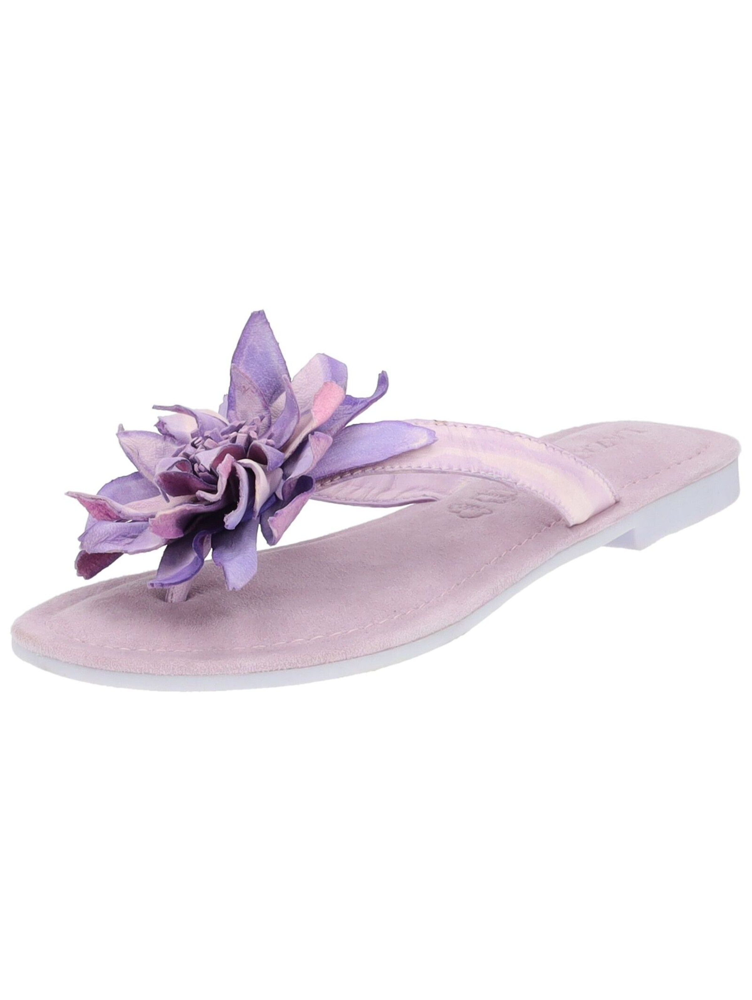 LAZAMANI Mules in Purple: front