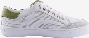 D.MoRo Shoes Sneakers 'Yufzebi' in White