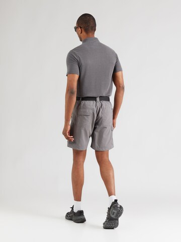 COLUMBIAregular Hlače za vanjske uvjete 'Silver Ridge™' - siva boja