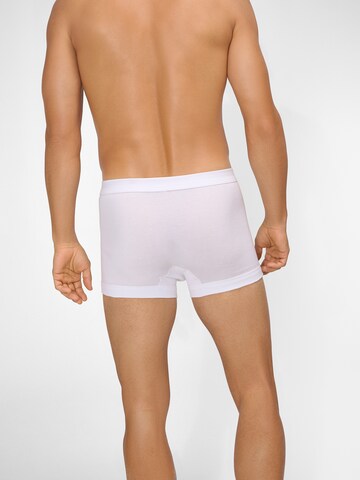 Boxers ' Premium Feinripp ' Ammann en blanc