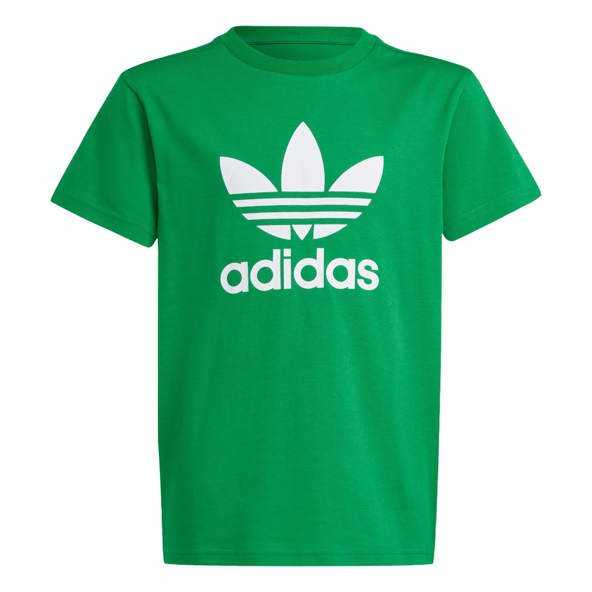 ADIDAS ORIGINALS Μπλουζάκι 'Adicolor Trefoil' σε πράσινο: μπροστά