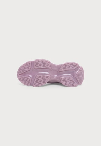 STEVE MADDEN Nizke superge 'Match-Re' | vijolična barva