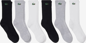 LACOSTE Skarpety '6PK SOCKS' w kolorze mieszane kolory: przód