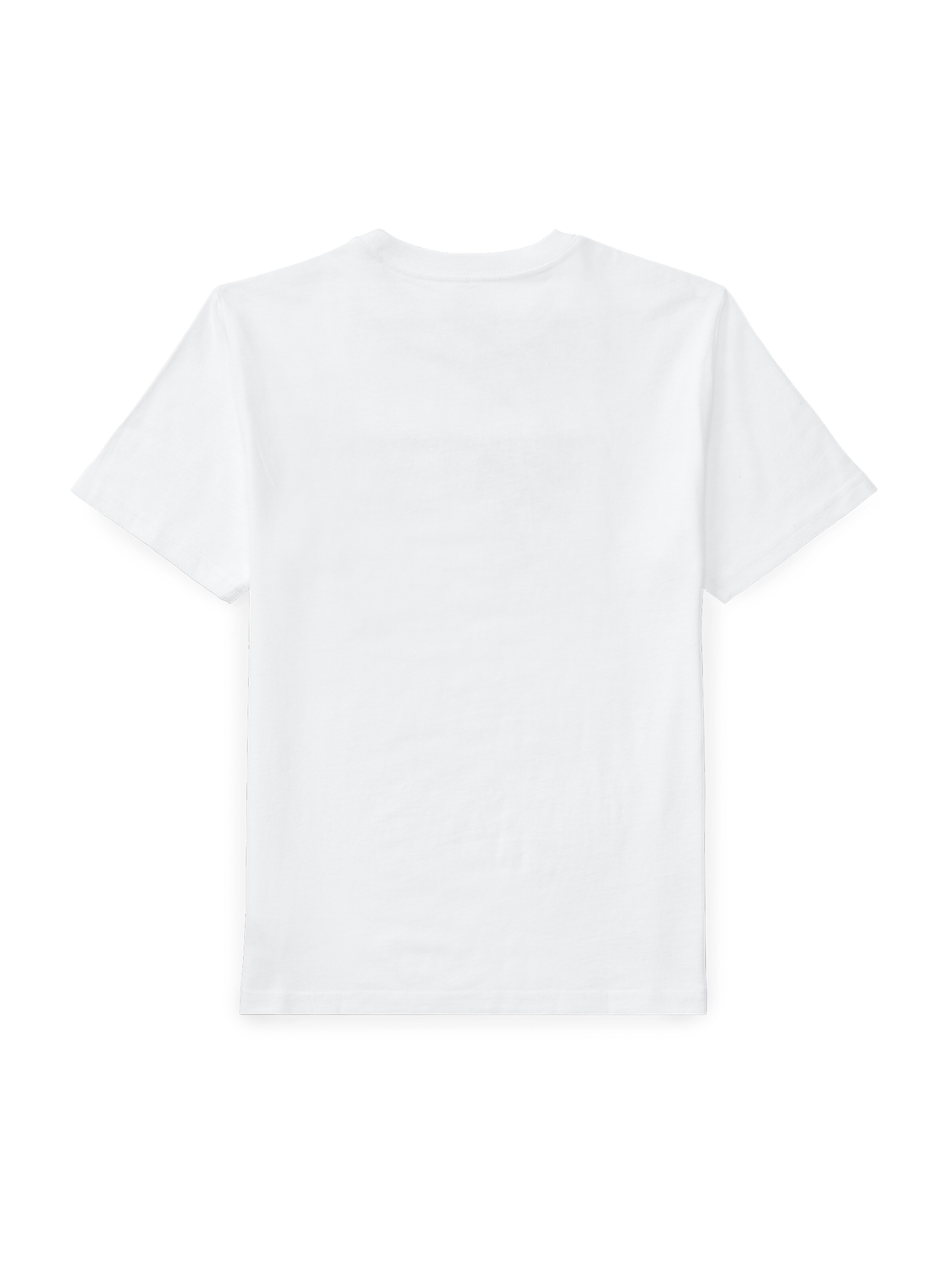 Maglietta 'FLAG' di Polo Ralph Lauren in bianco