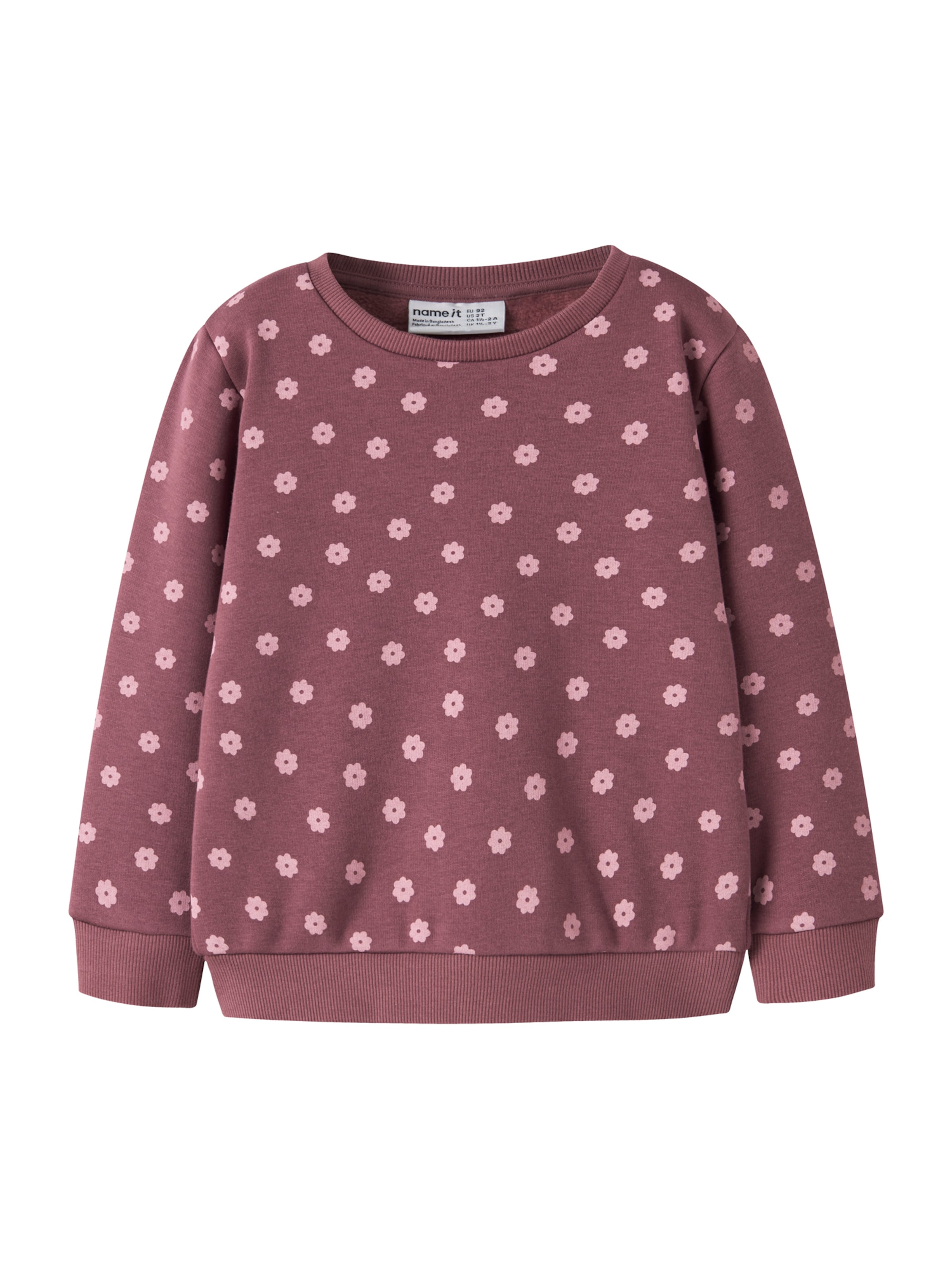 NAME IT Sweatshirt 'NMFDAVINA' i lilla: forside
