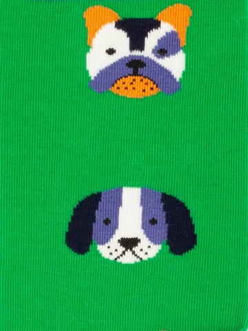 DillySocks Socks 'Dog vs Biever' in Mixed colors