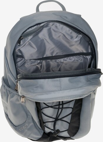 DEUTER Rucksack 'Gogo' in Grau