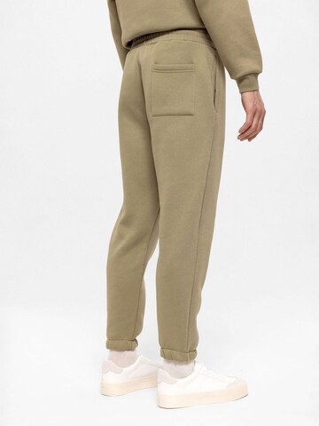 Antioch Tapered Trousers in Green